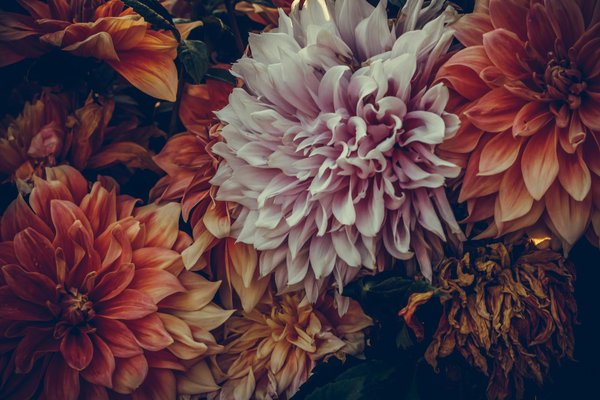 Les clés d'un déménagement réussi avec une compagnie de déménagement