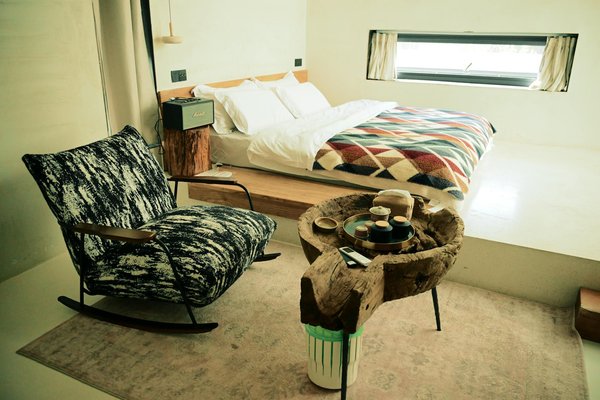 Tailler un palmier : conseils essentiels pour une croissance saine