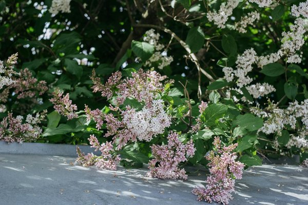 Le spécialiste de l'ameublement pour votre salle de bains