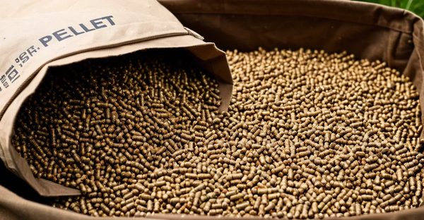 Prix sacs pellets : guide des tarifs et astuces pour économiser
