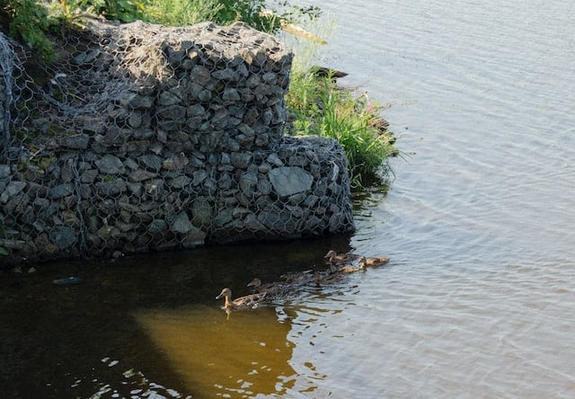 Quels matériaux utiliser pour construire un mur en gabion ?