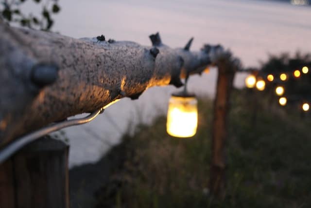 Comment créer une suspension lumineuse avec des branches d’arbre ?